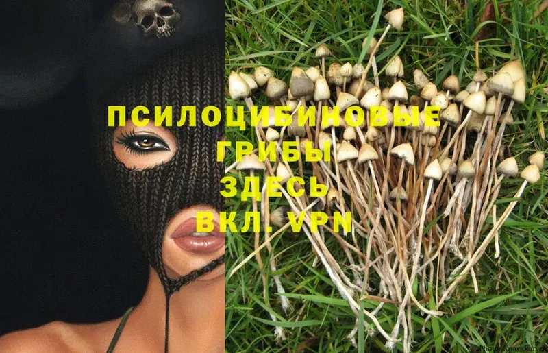 Псилоцибиновые грибы Magic Shrooms  кракен зеркало  Алапаевск 