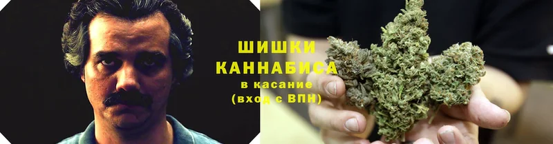 Бошки Шишки OG Kush  где продают наркотики  Алапаевск 